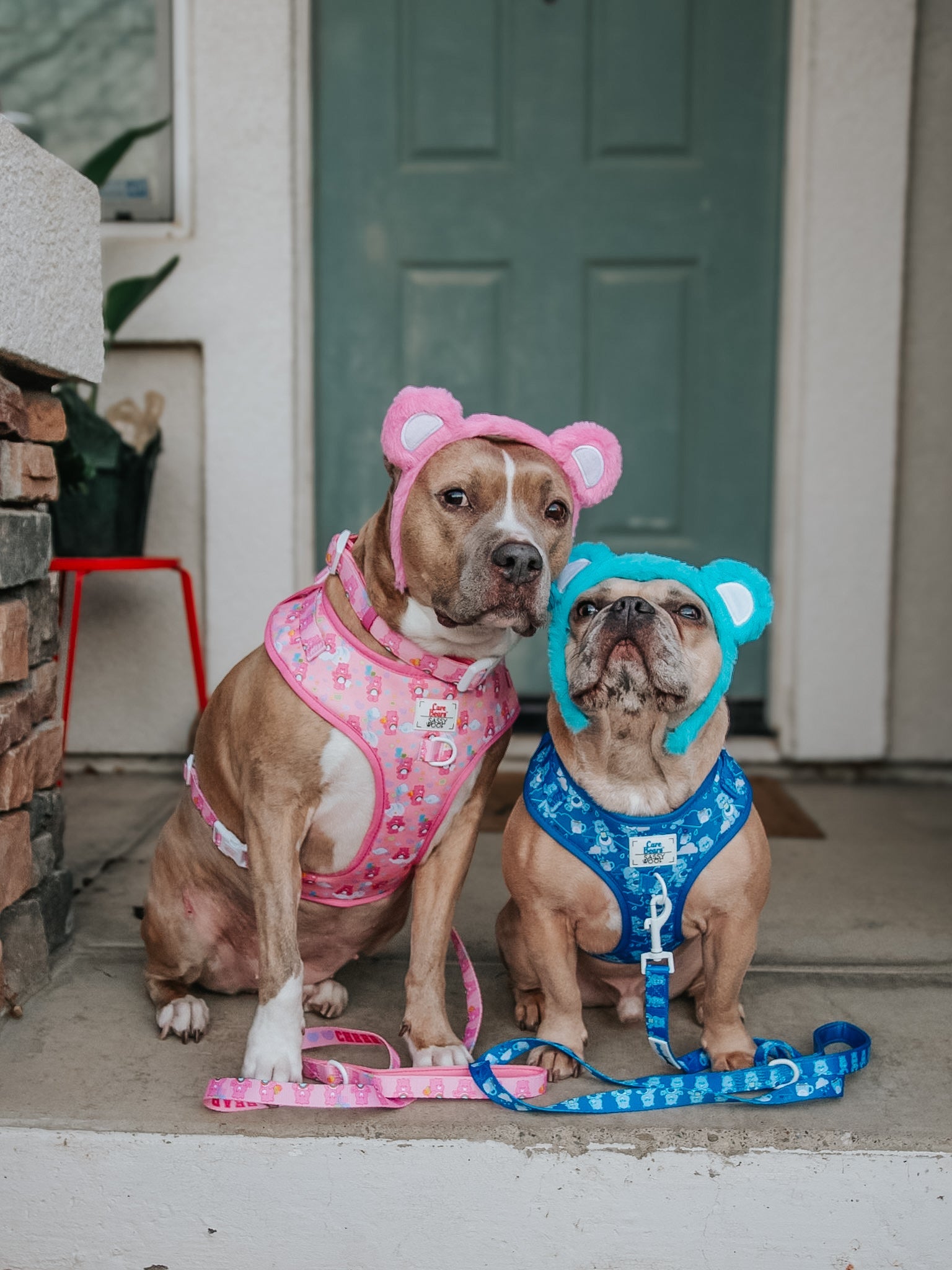 Dog Leash - Care Bears™ Grumpy Bear