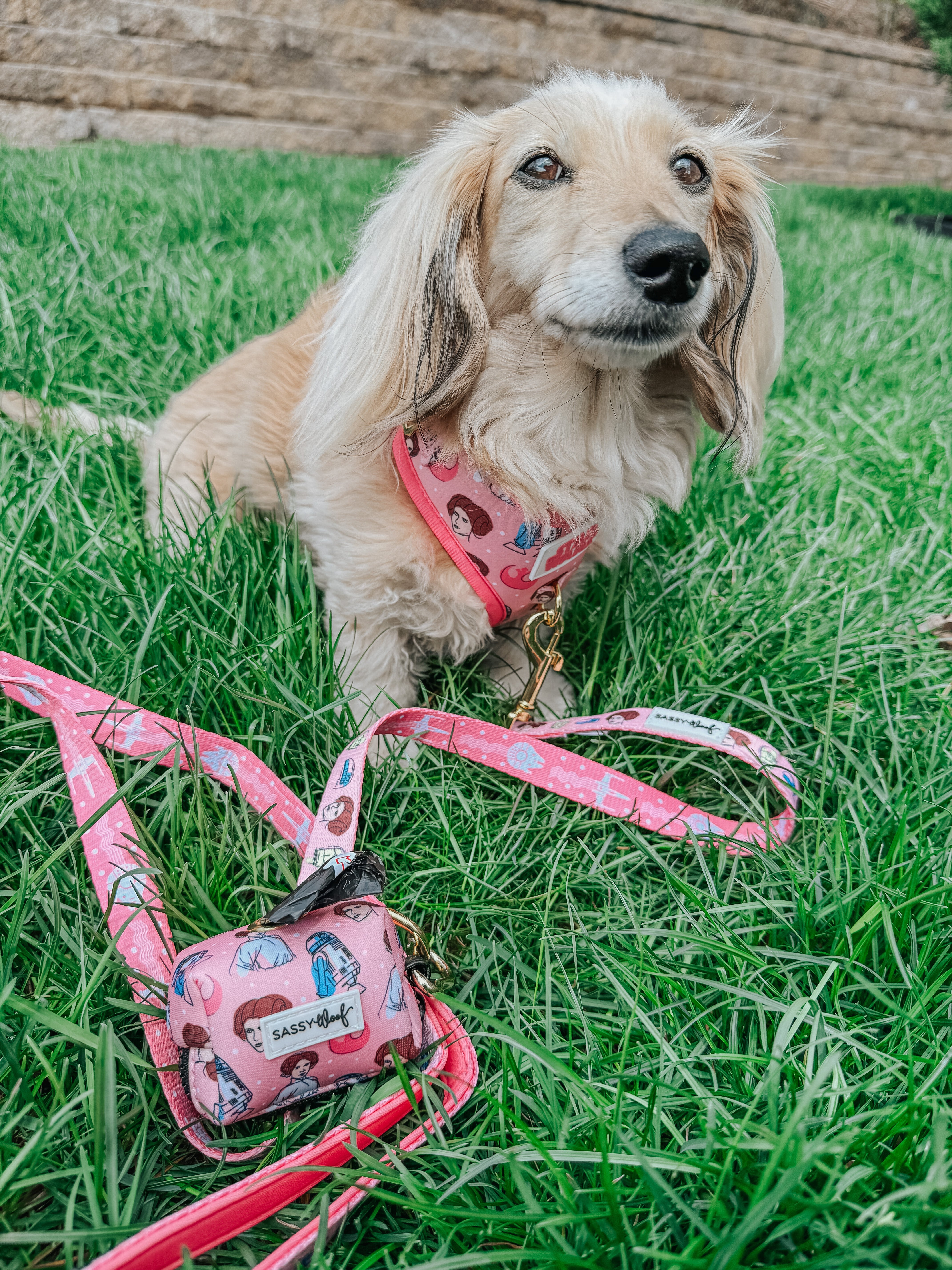Dog Leash - STAR WARS™ Princess Leia
