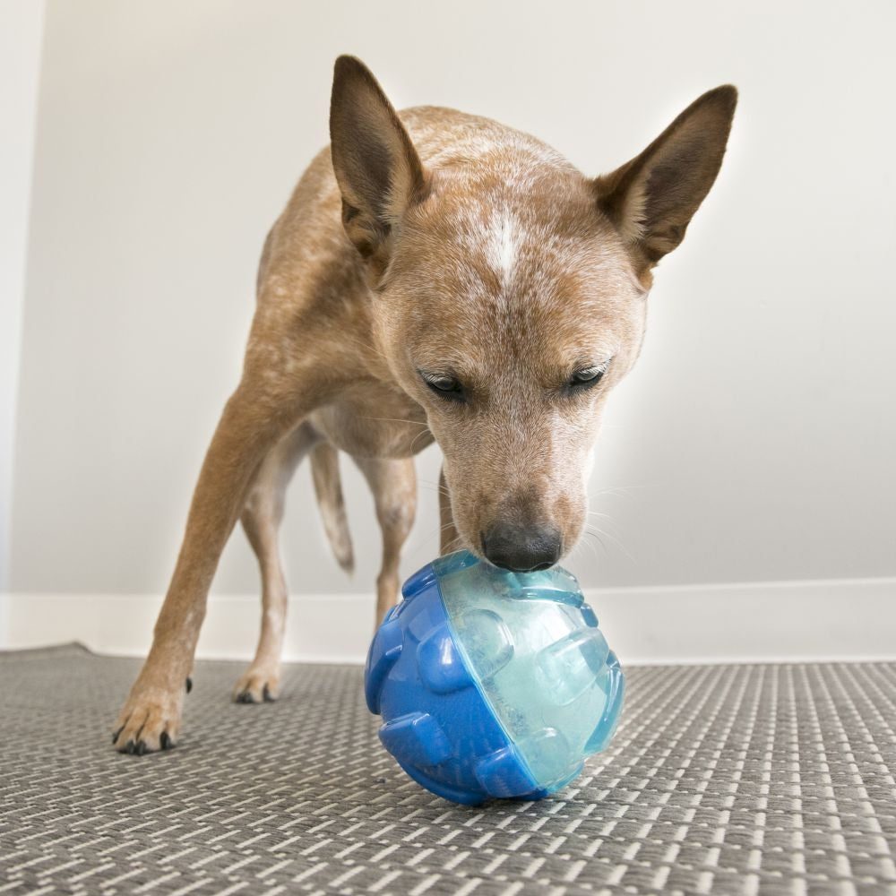 KONG Rewards Treat Dispenser Ball Small Dog Toy