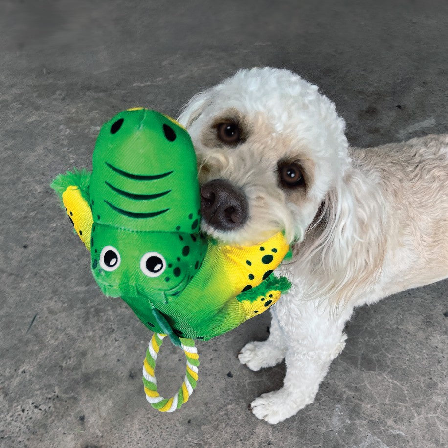 Kong Cozie Tuggz Alligator Dog Toy
