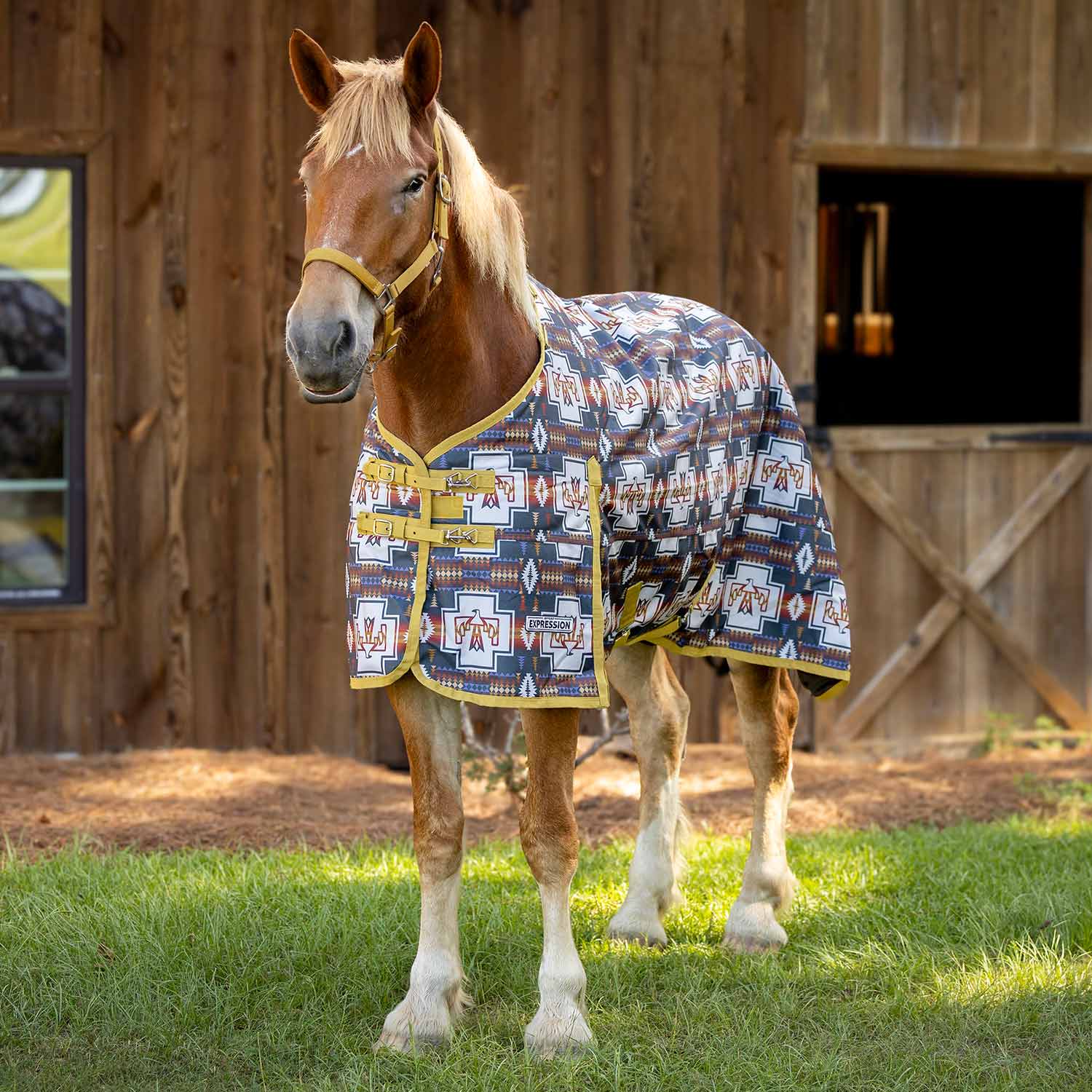 Jeffers Expression 1200D Draft Horse Turnout Blanket, 240 g | Waterproof, Breathable & Safe Design