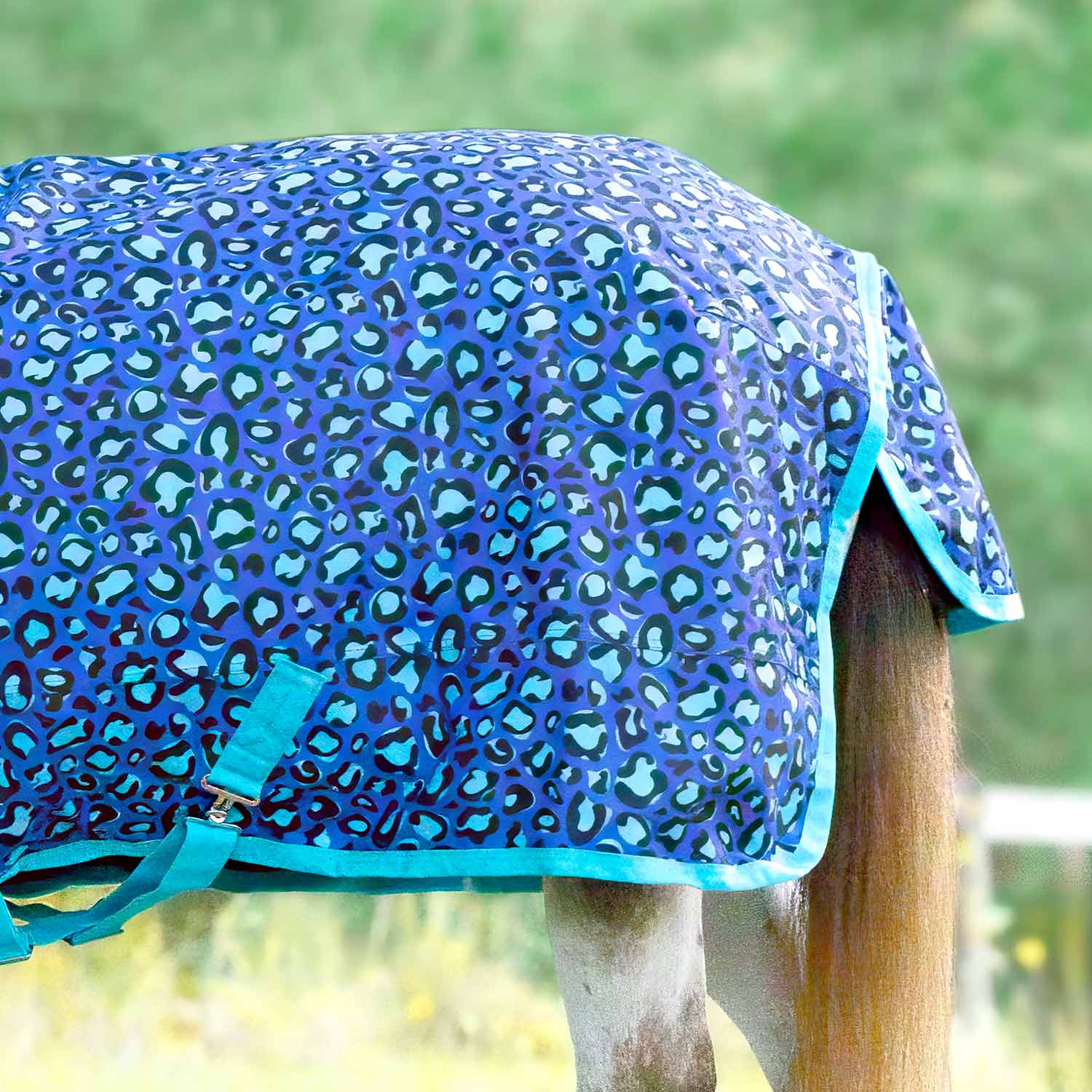 Jeffers Expression Pony 1200 Denier Medium Weight Standard Neck Turnout Blanket, 240g Fill