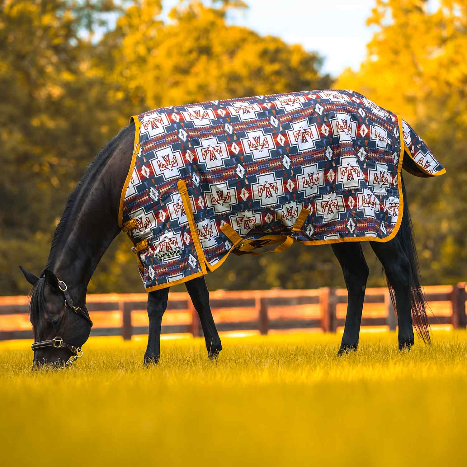 Jeffers Expression 1200 Denier Standard Neck Turnout Horse Blanket, 240 Gram