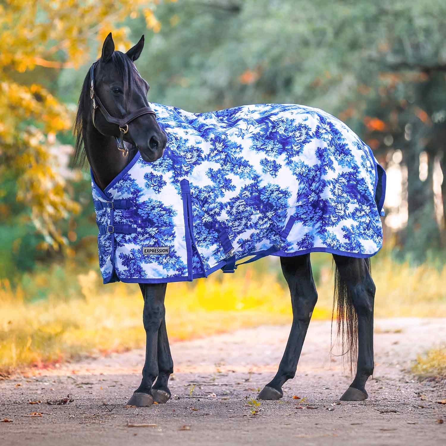 Jeffers Expression 1200 Denier Standard Neck Turnout Horse Blanket, 240 Gram