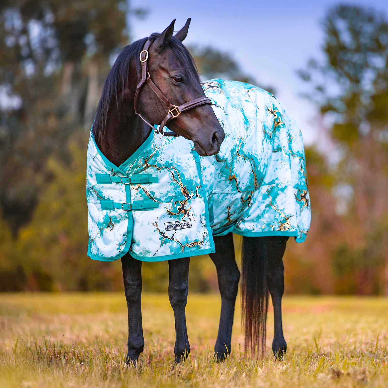 Jeffers Expression 1200 Denier Standard Neck Turnout Horse Blanket, 240 Gram