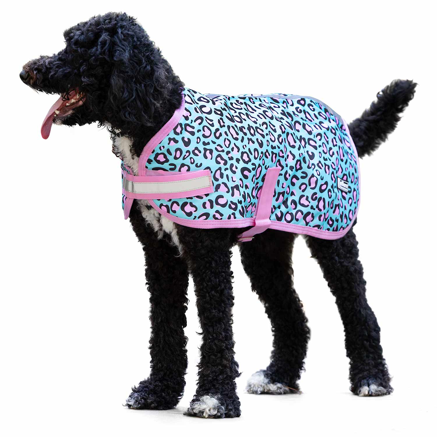 Jeffers Expression 600D Waterproof Ripstop Dog Coat, 240 Grams