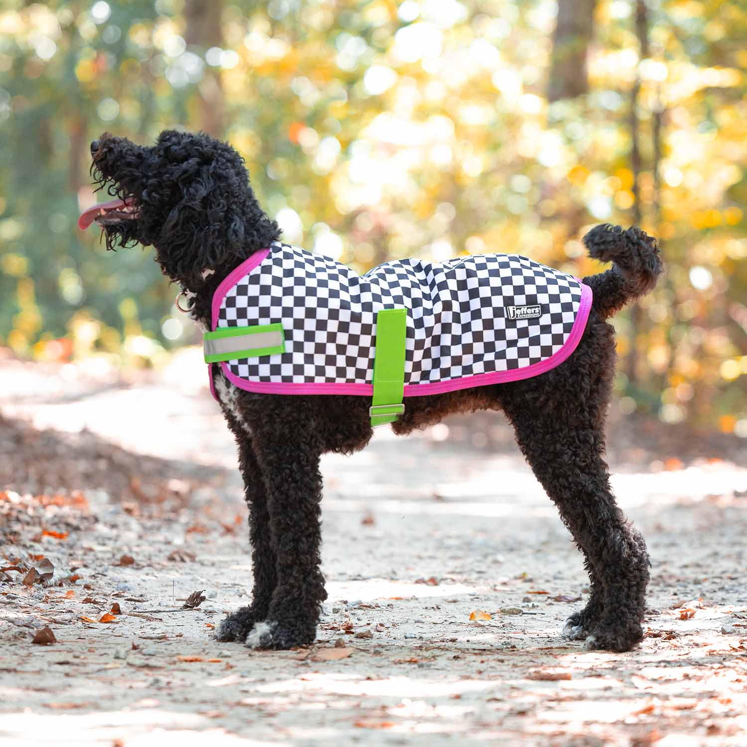 Jeffers Expression 600D Waterproof Ripstop Dog Coat, 240 Grams