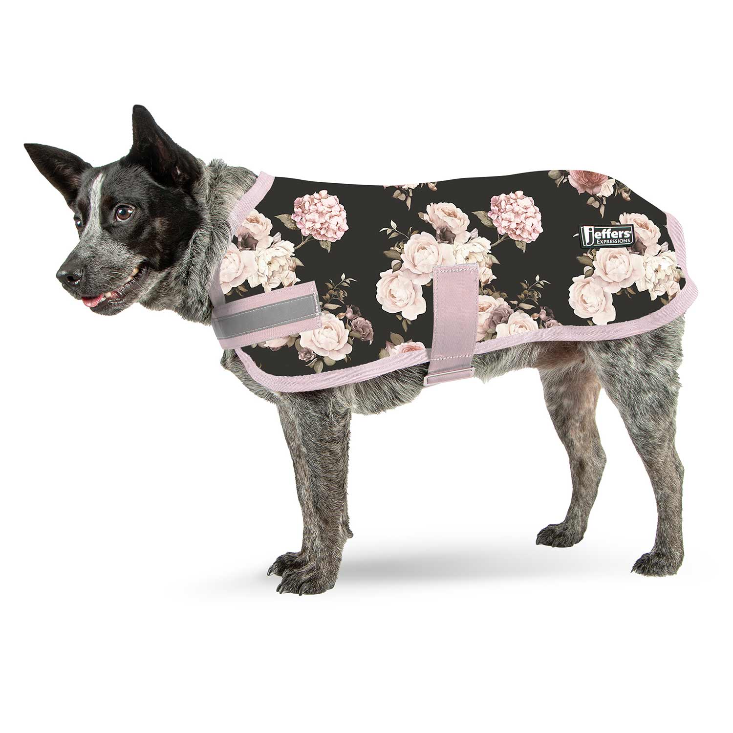 Jeffers Expression 600D Waterproof Ripstop Dog Coat, 240 Grams