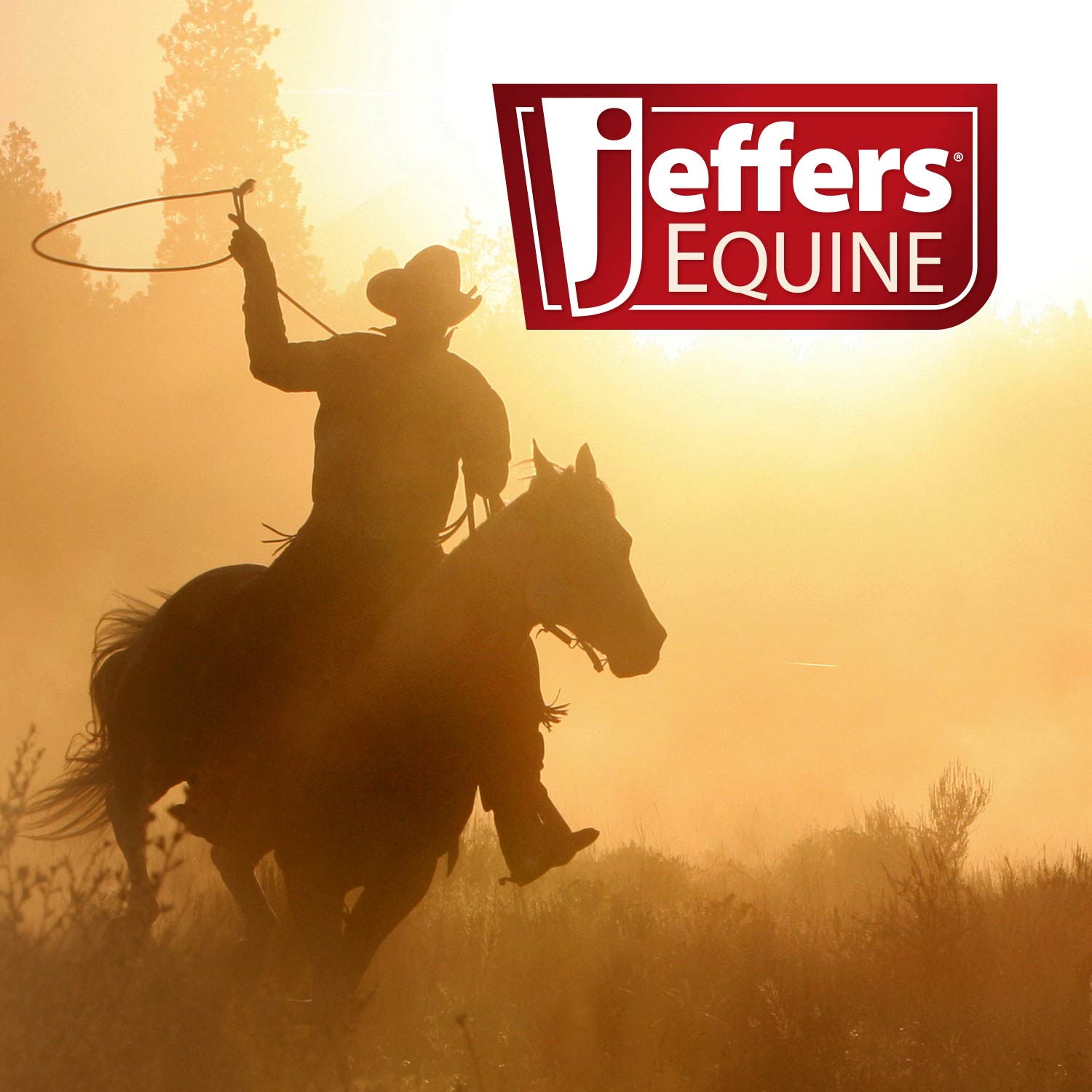 Jeffers Equine Medicated Iodine Antibacterial and Antifungal Horse Shampoo