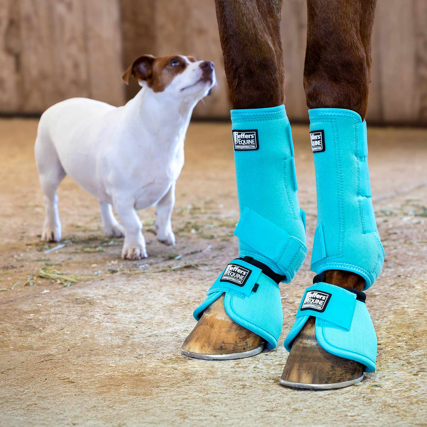 Jeffers No-Turn Bell Boots for Horses, Solid Colors, 2 Count