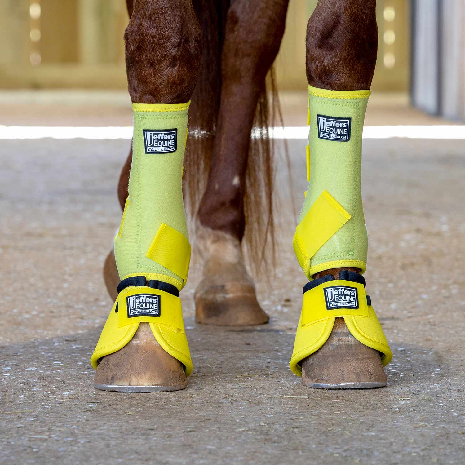 Jeffers No-Turn Bell Boots for Horses, Solid Colors, 2 Count
