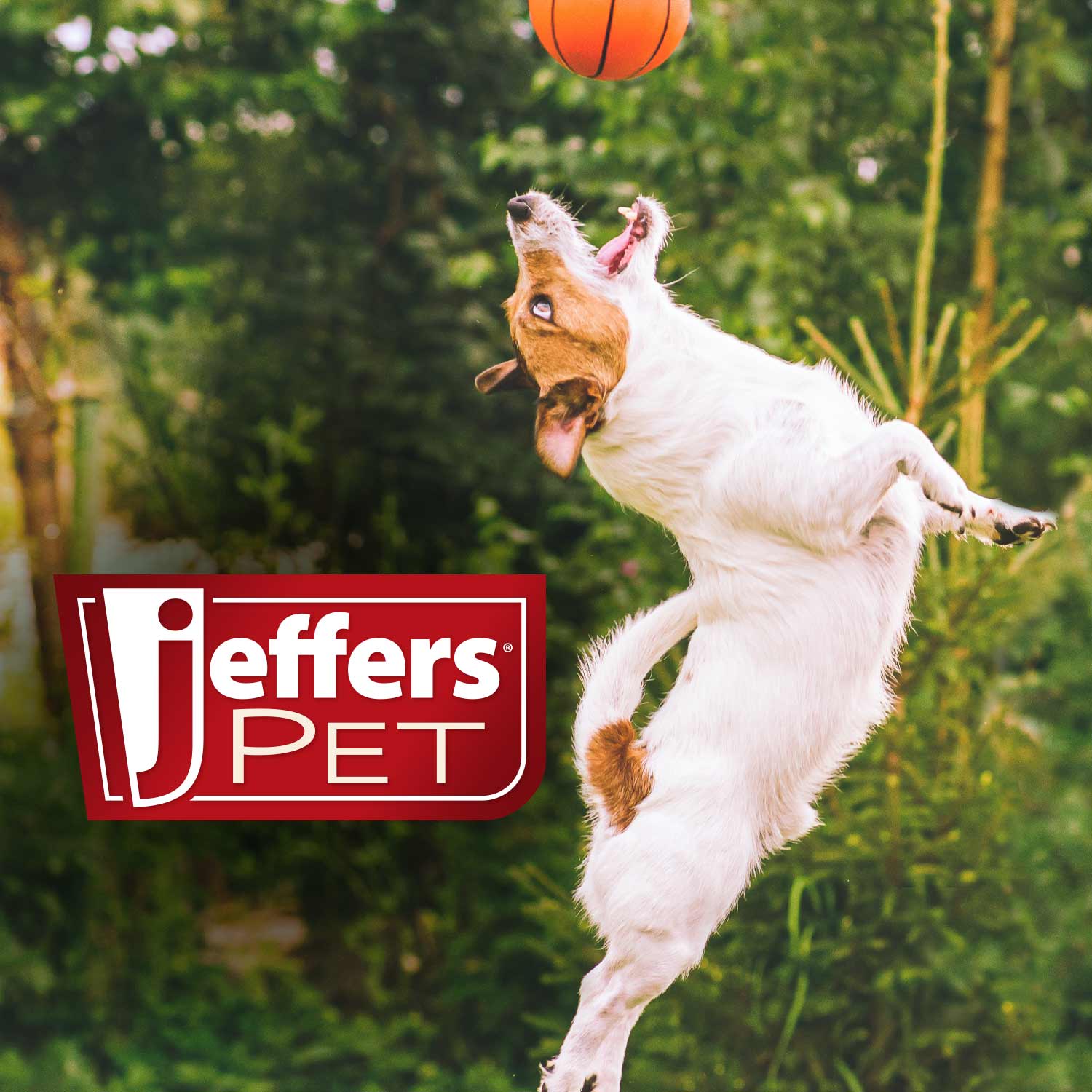 Jeffers Pet Christmas Characters Unstuffed Plush Squeaker Dog Toys, 12 inch