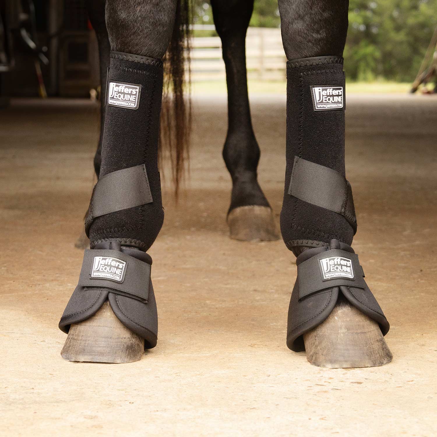 Jeffers Protective Horse Boots, Solid Colors, 2-Pack