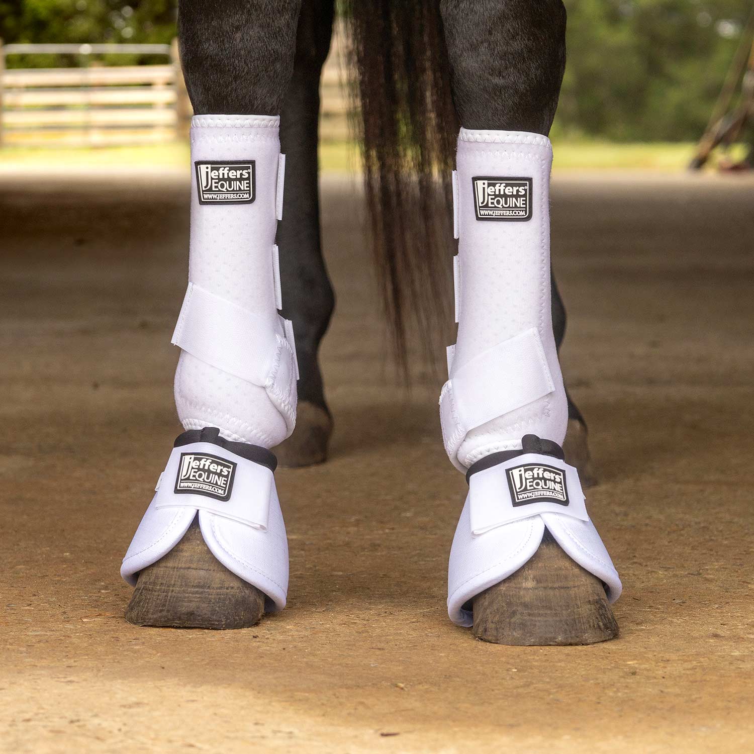 Jeffers Protective Horse Boots, Solid Colors, 2-Pack