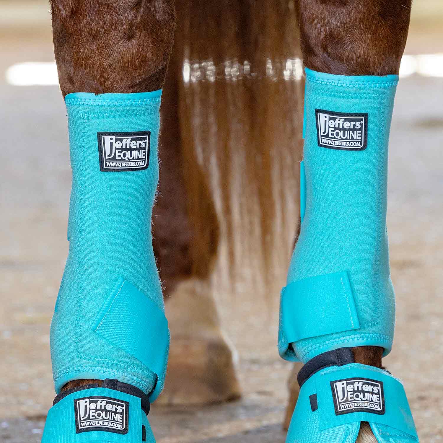 Jeffers Protective Horse Boots, Solid Colors, 2-Pack