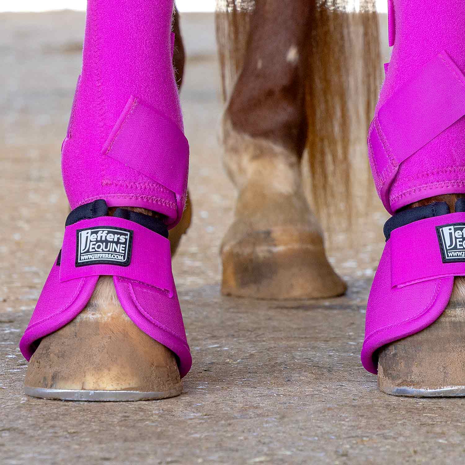 Jeffers Protective Horse Boots, Solid Colors, 2-Pack