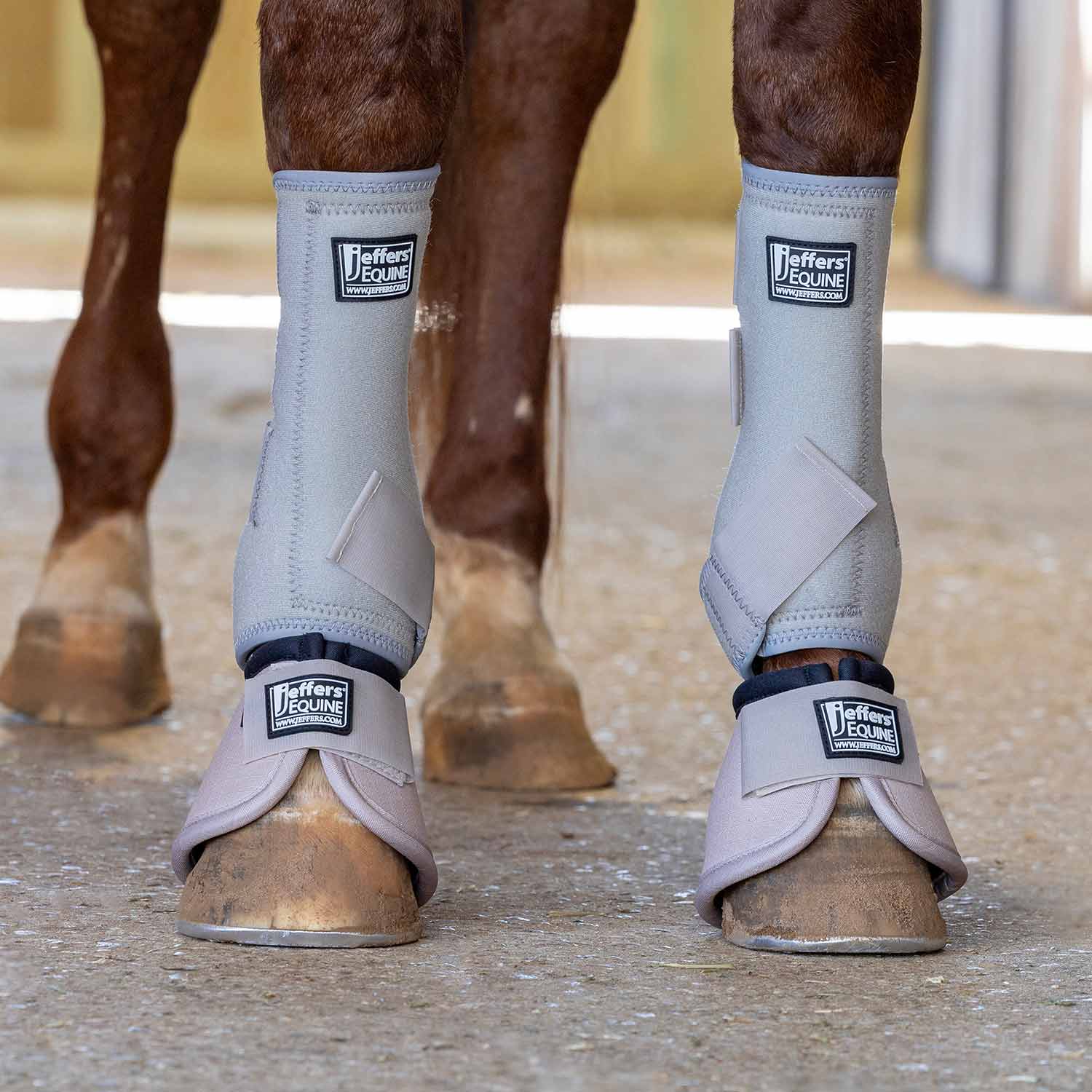 Jeffers Protective Horse Boots, Solid Colors, 2-Pack