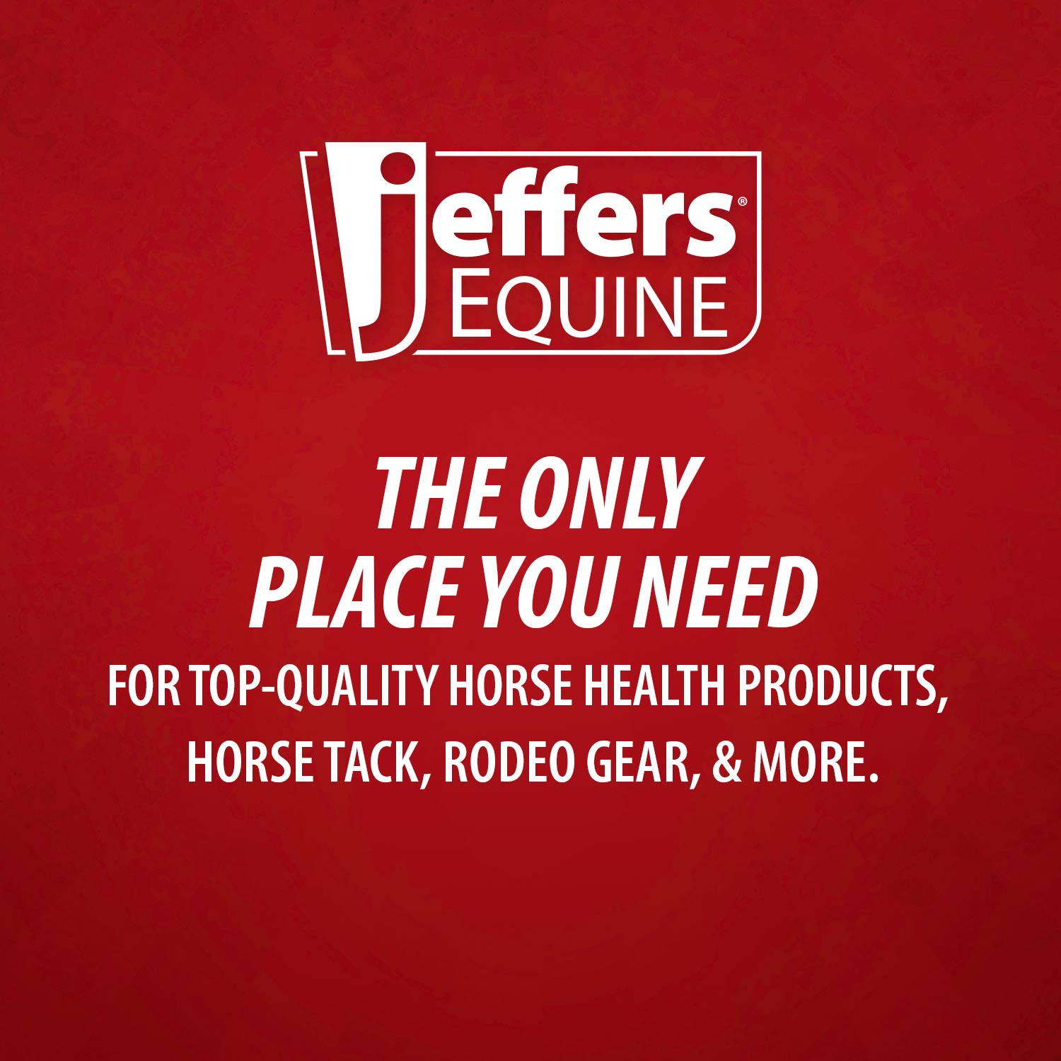 Jeffers Stainless Steel Sharp Grooming Scissors for Horses – Mane, Tail & Braiding Trimming Tool