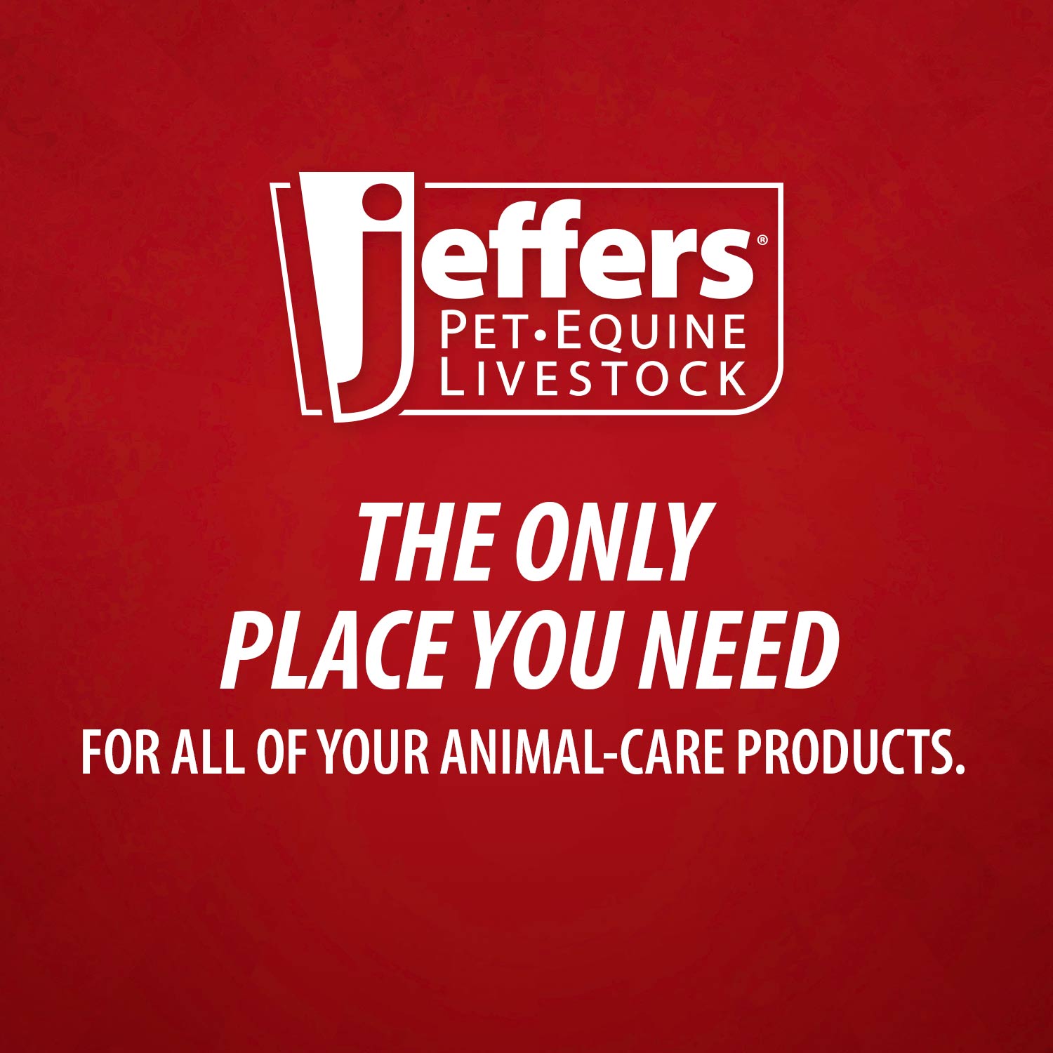 Jeffers Poly Hub Hypodermic Needles for Veterinary Use, Box of 100