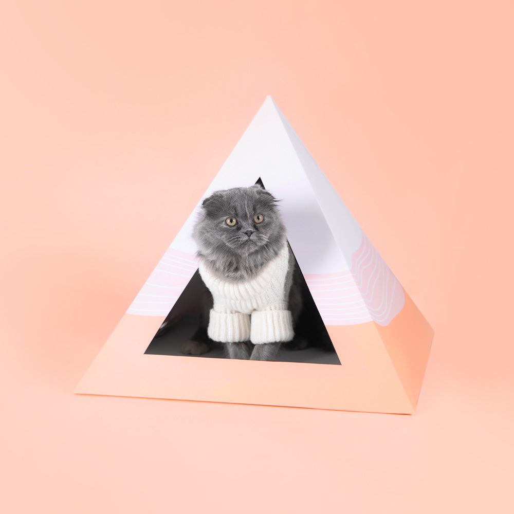 'Wavey' Cardboard Cat Pyramid