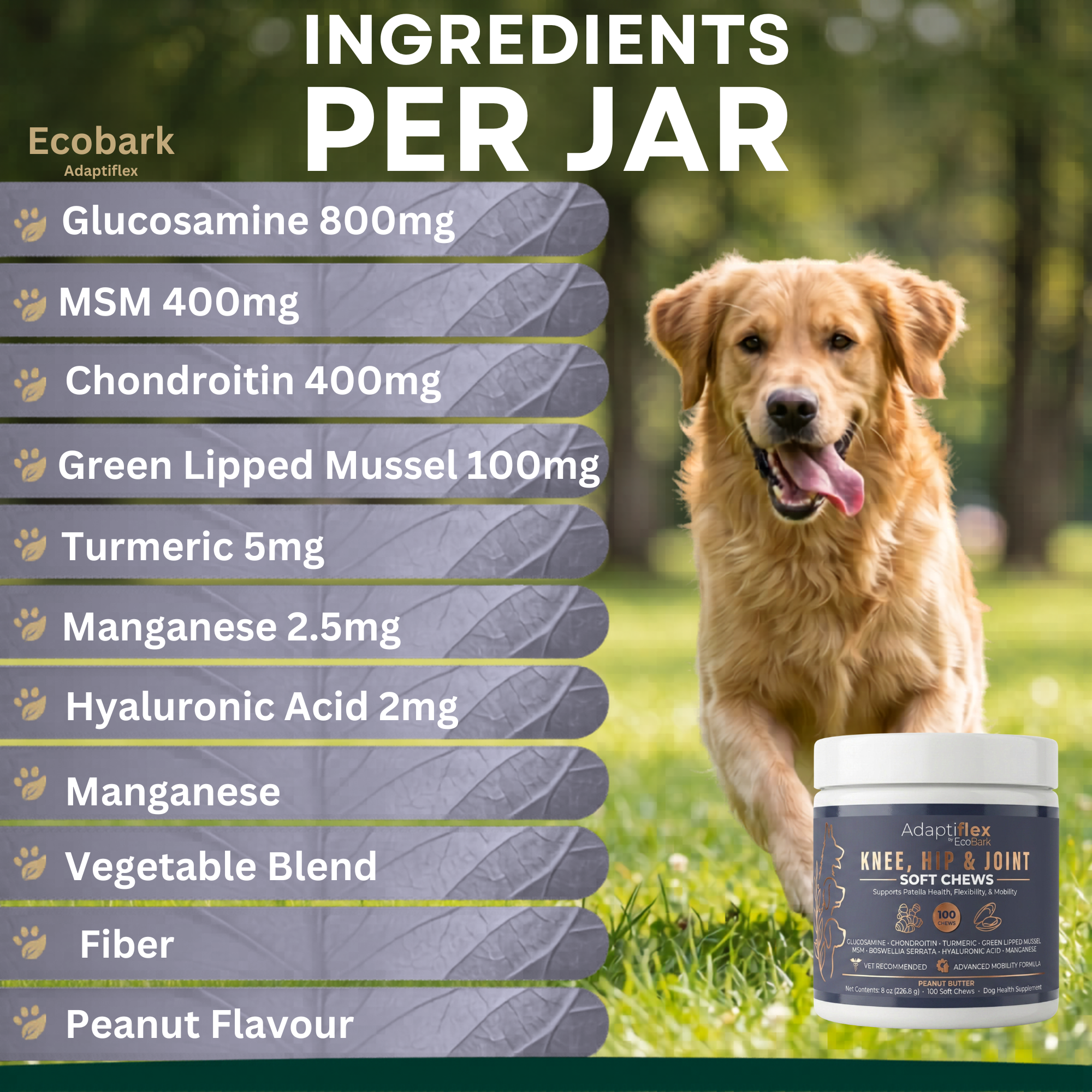 Coming Soon: The World's First Knee & Joint Supplement for Dogs with Glucosamine, Chondroitin, and MSM