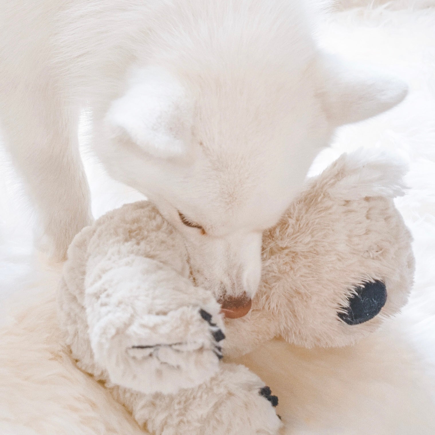 Fur Elise Koko Plush Toy - Maxi