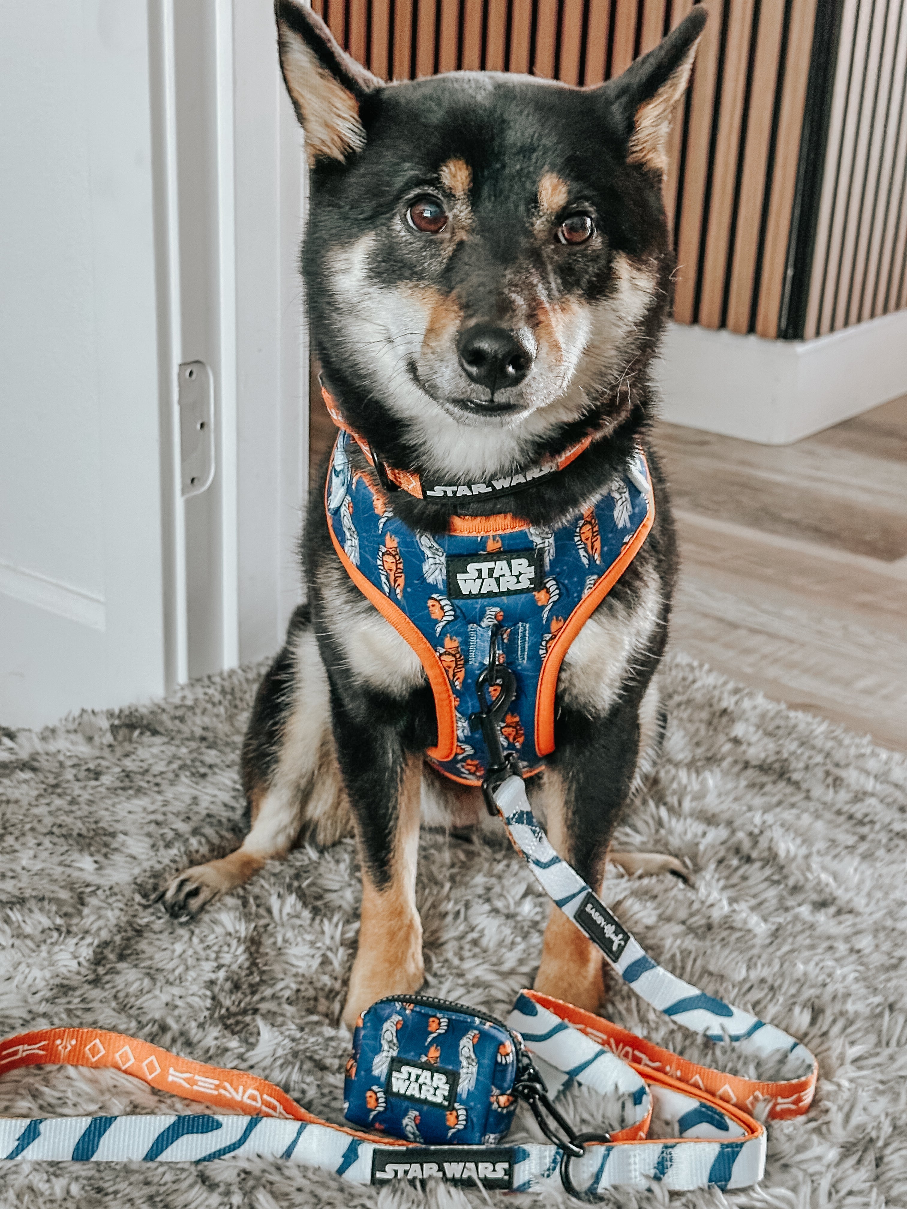 Dog Leash - STAR WARS™ Ahsoka