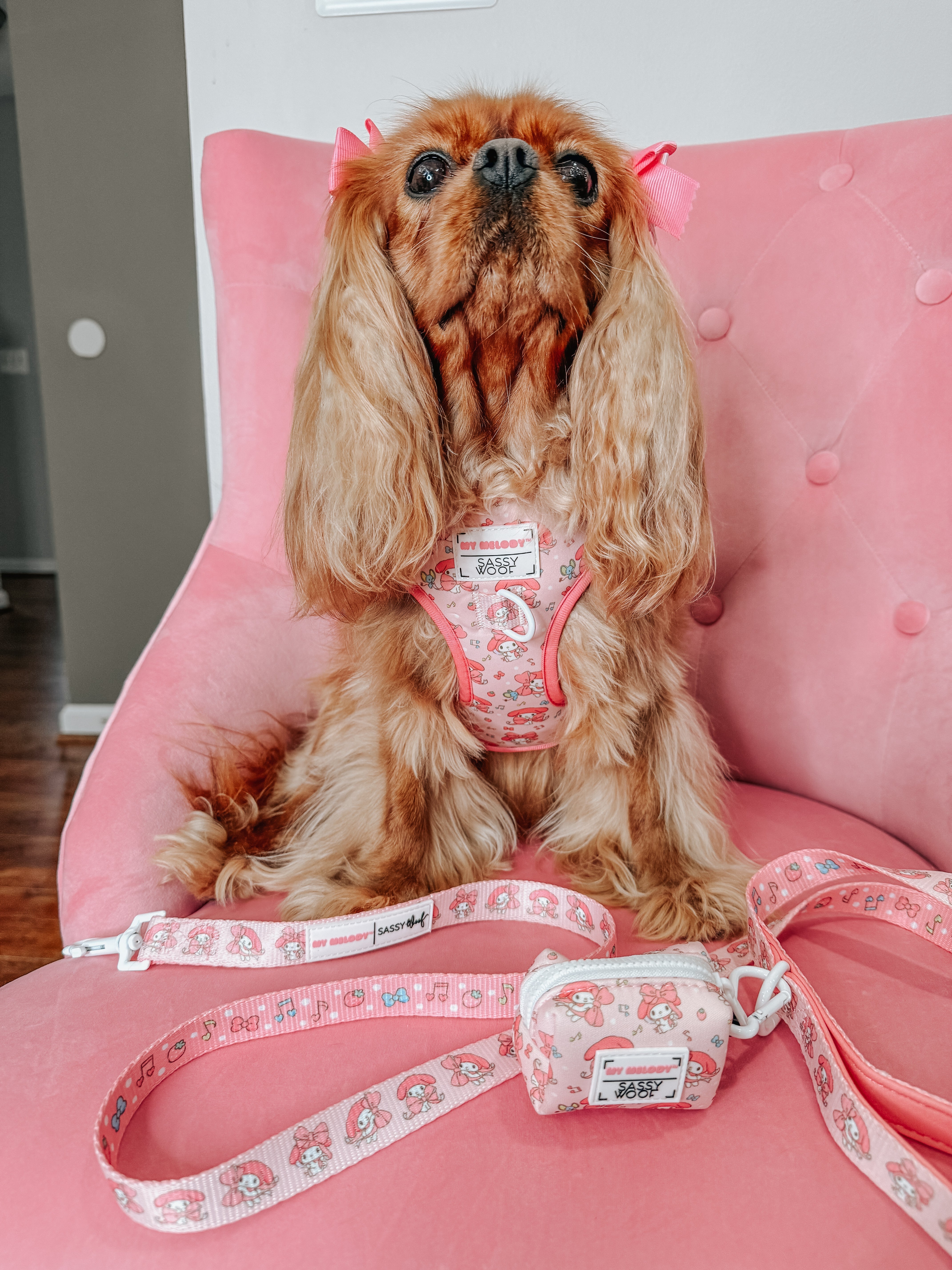 Dog Four Piece Bundle - My Melody™