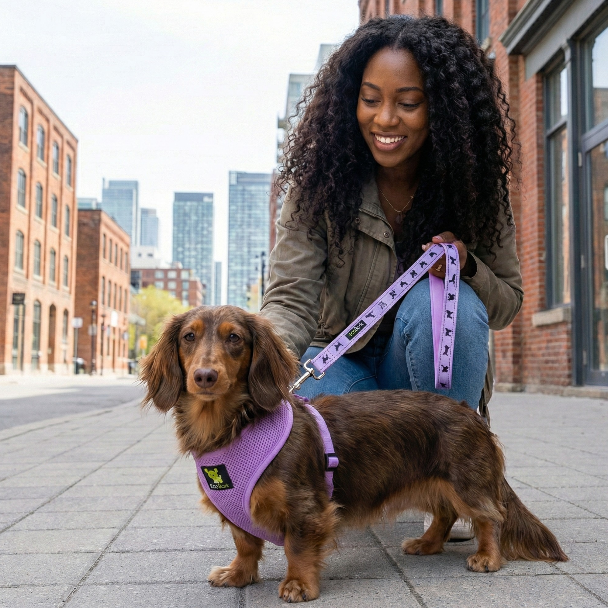 EcoBark Lavender Dog Harness - Over-the-Head Soft Mesh Vest Halter for XS to Medium Breed Dogs
