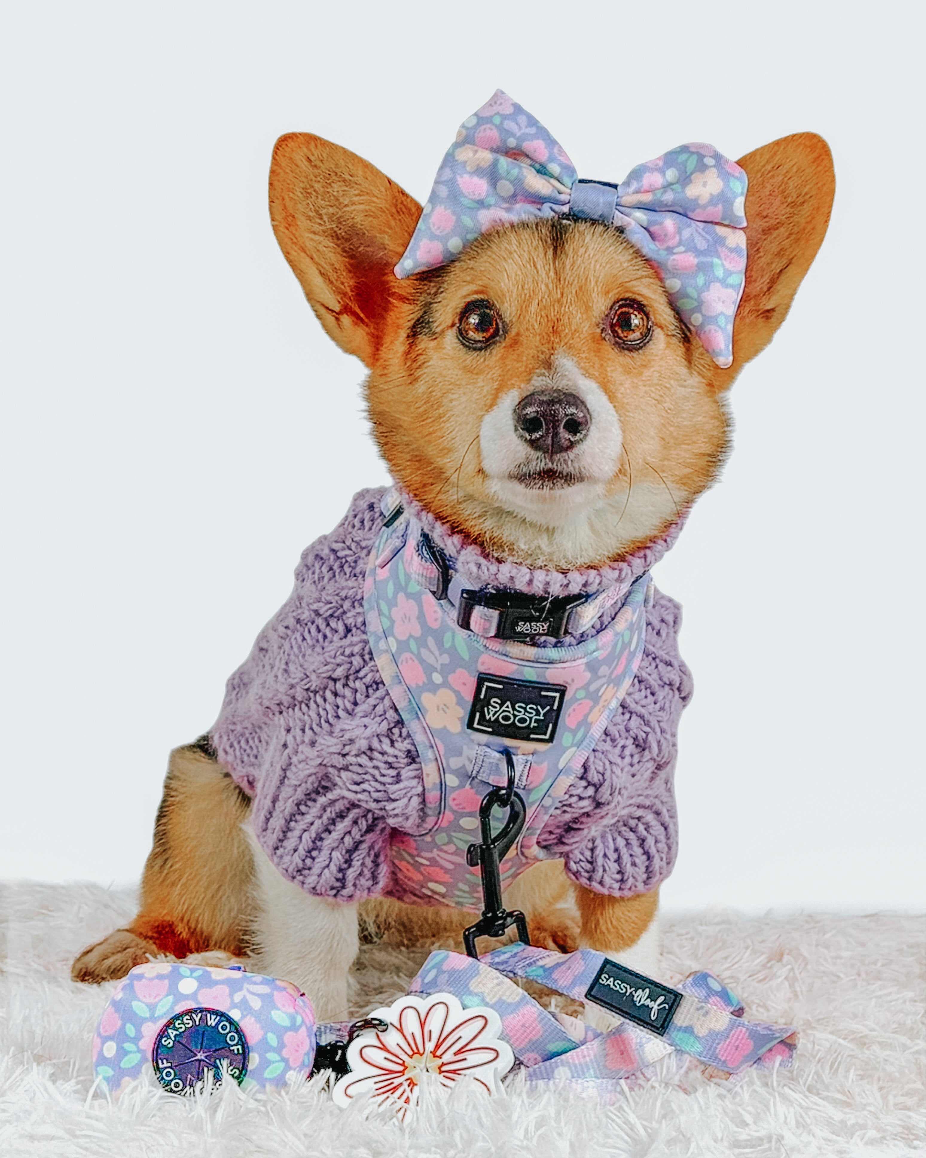 Dog Leash - Fleur de Sass