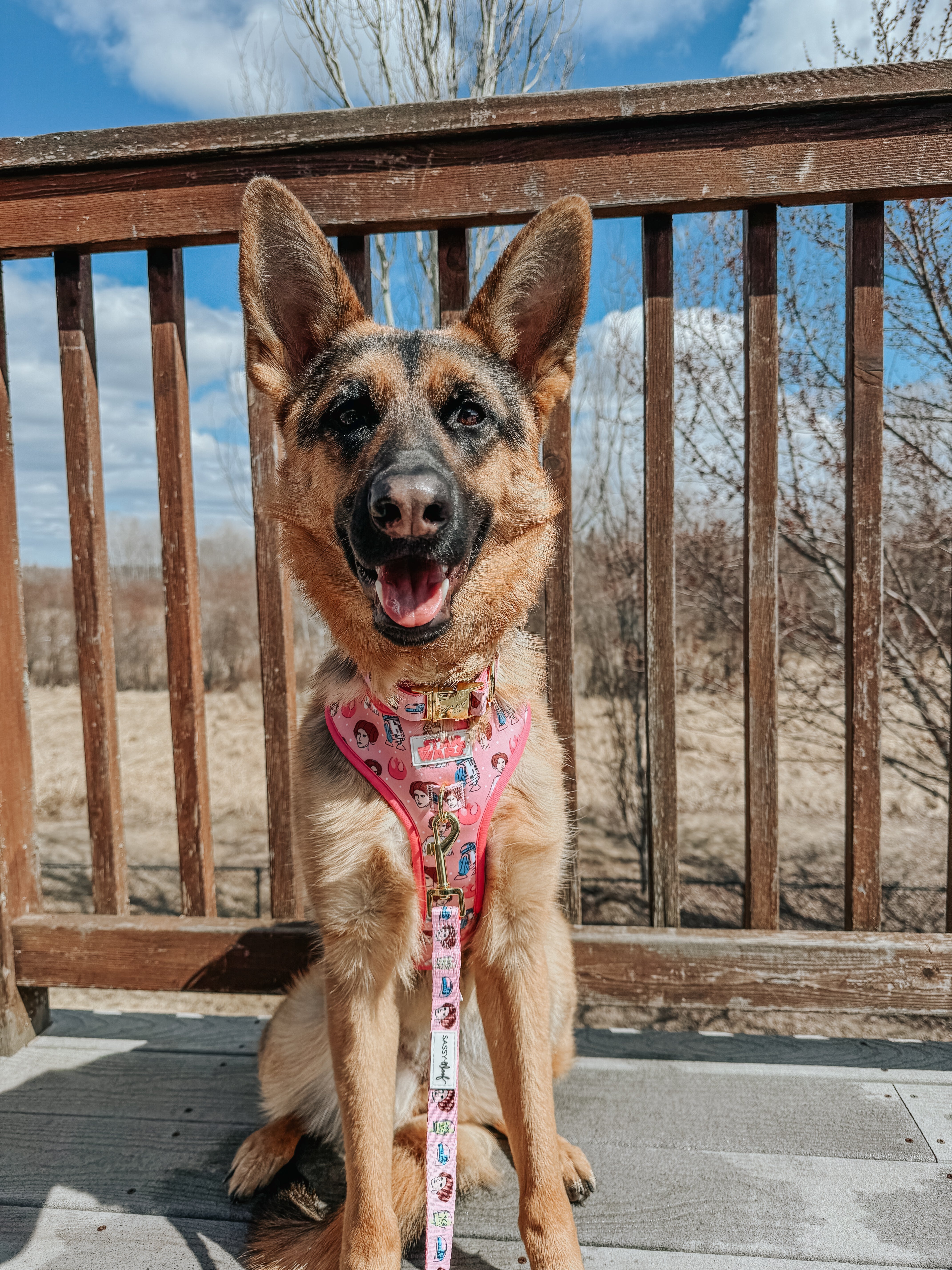 Dog Leash - STAR WARS™ Princess Leia