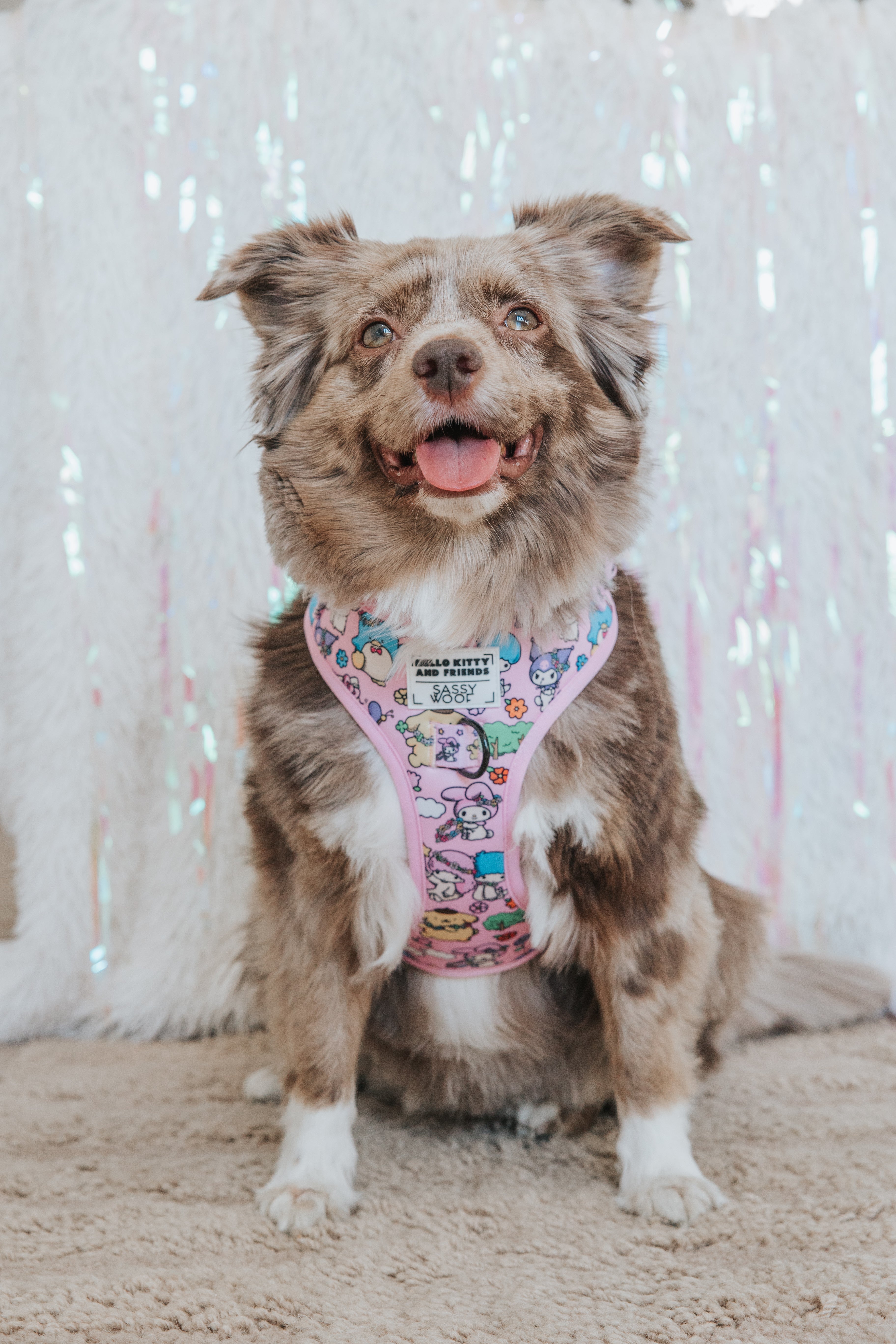 Dog Two Piece Bundle - Hello Kitty® & Friends Flower Festival