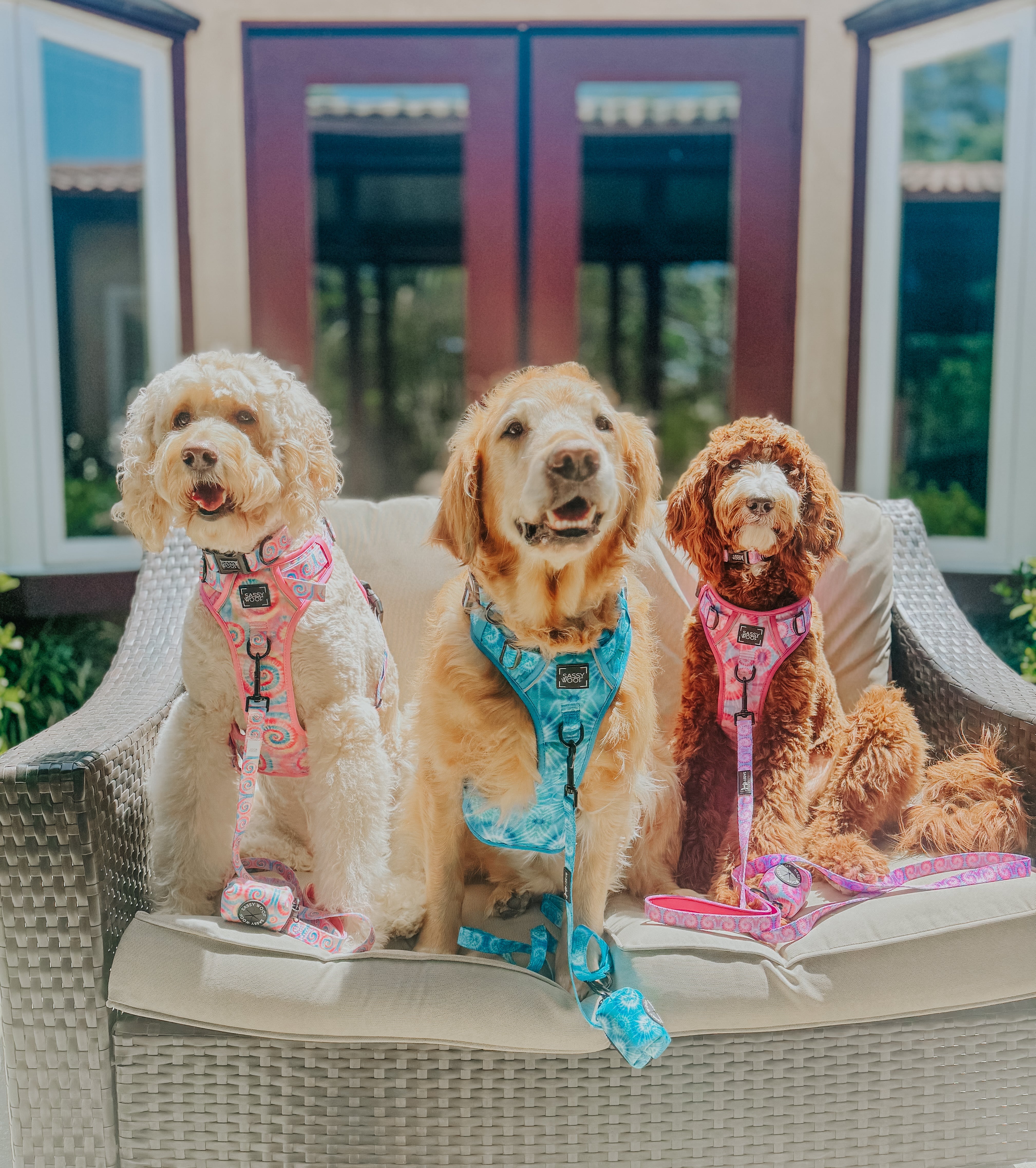 Dog Leash - Good Vibes