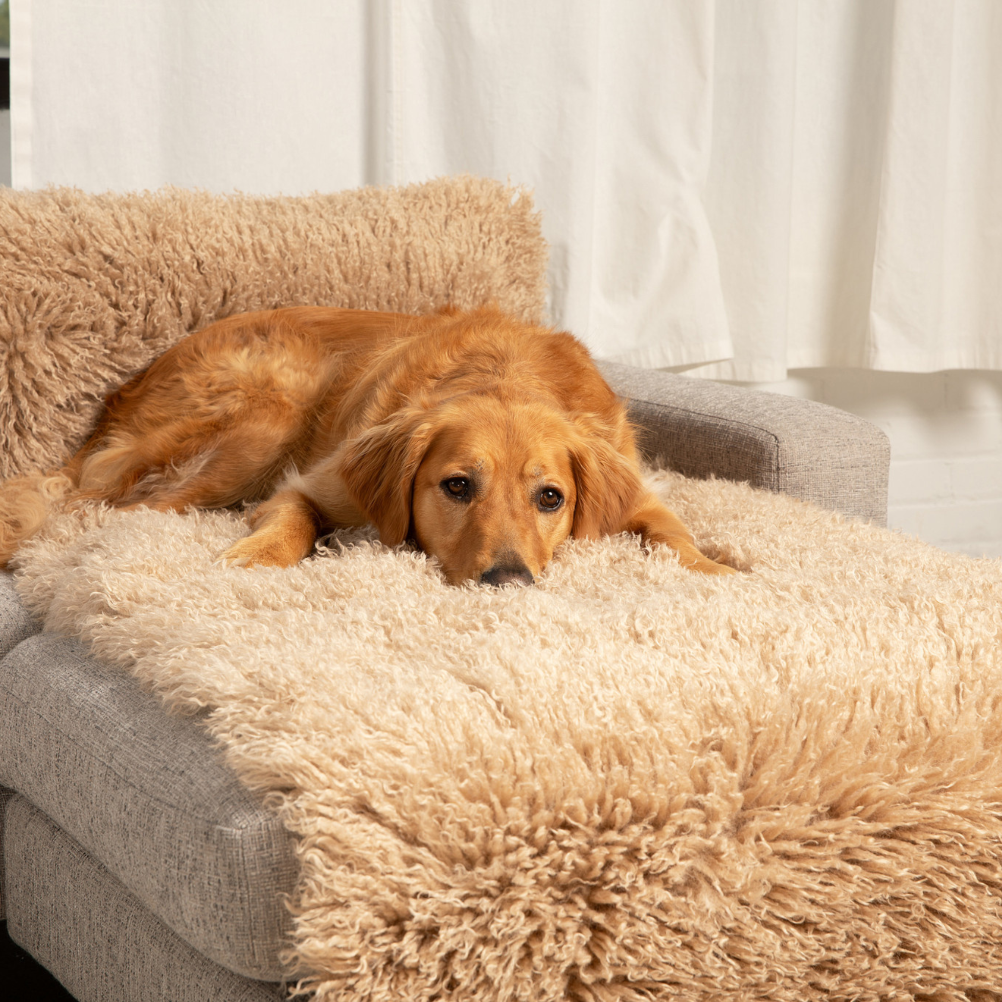 PupProtector Luxe Waterproof Bed Runner - Plush Sheep Tan