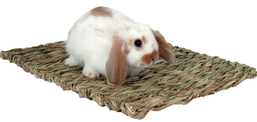 Marshall Peters Woven Grass Mat For Small Animals