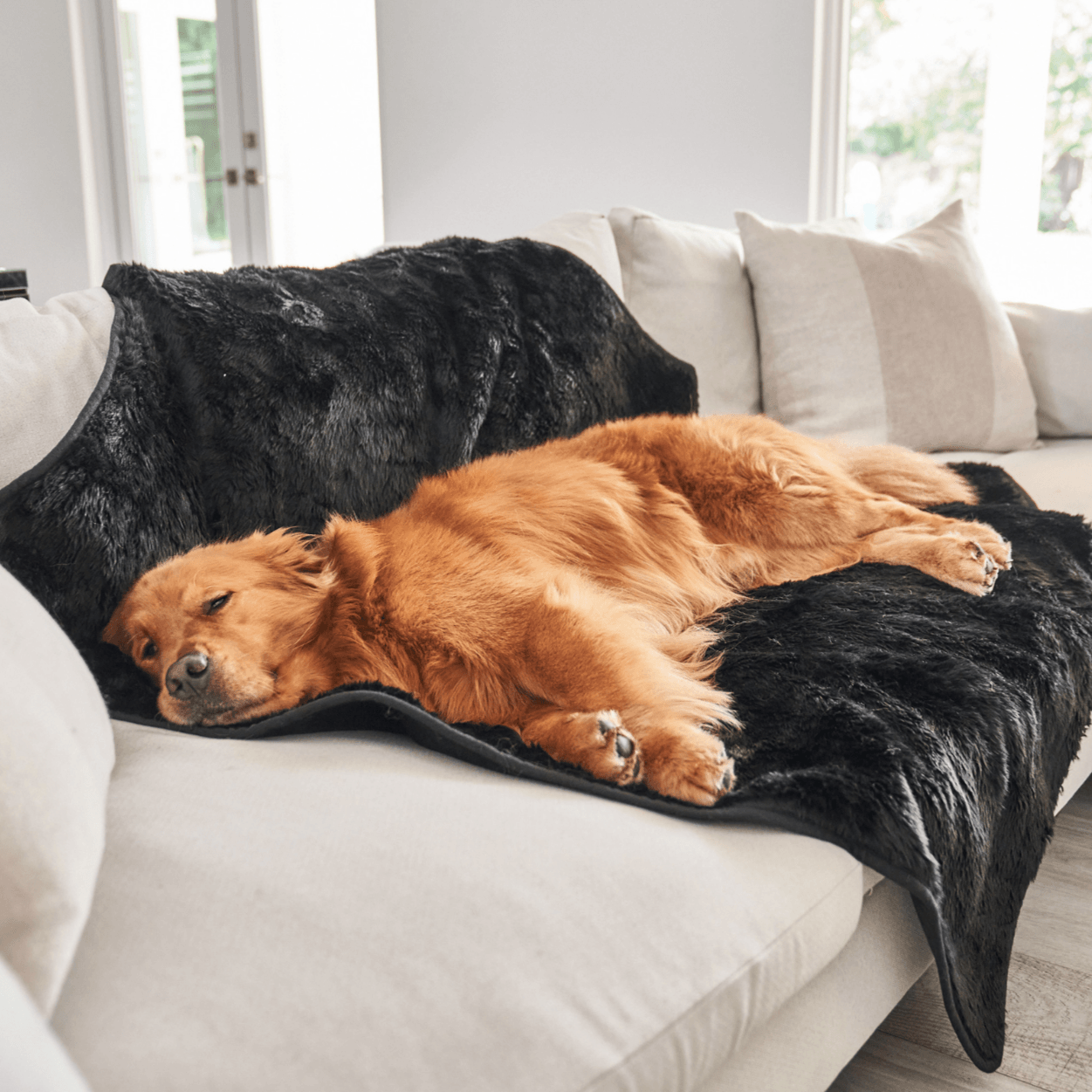PupProtector Summer Short Fur Waterproof Throw Blanket - Midnight Black