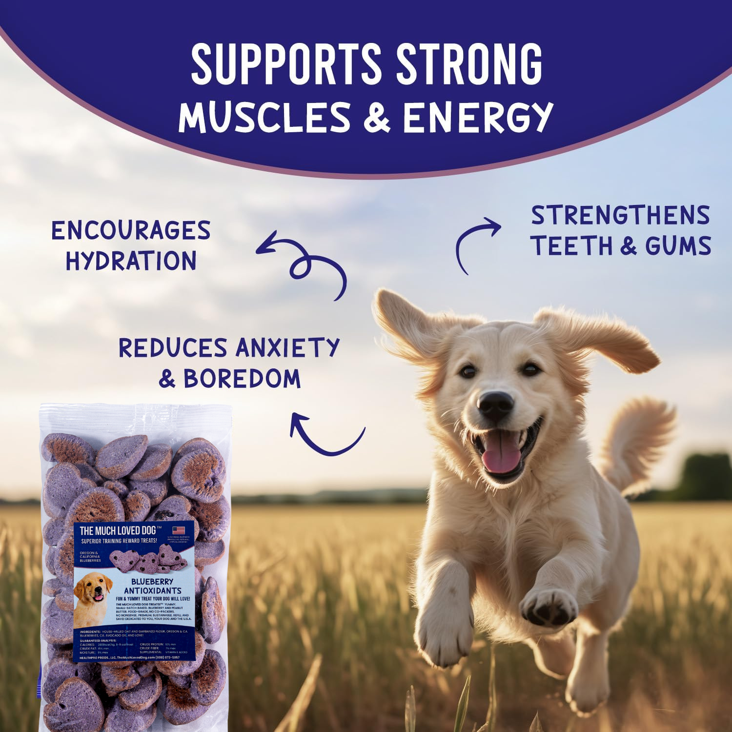 Much-Loved Dog™ Blueberry BUNDLE