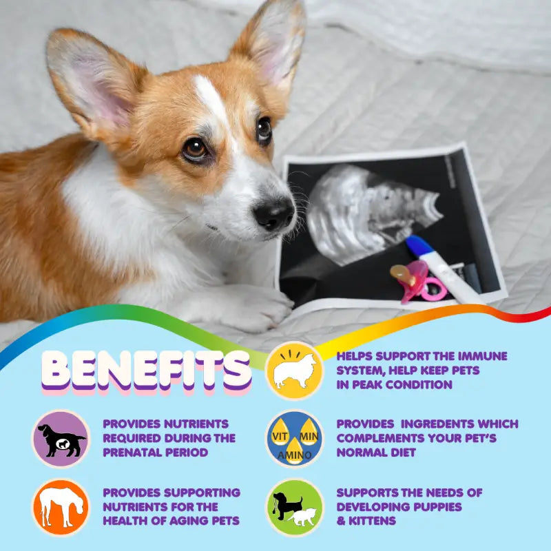 Multivitamin for Dogs & Cats. Prenatal Vitamins. 90 Tabs