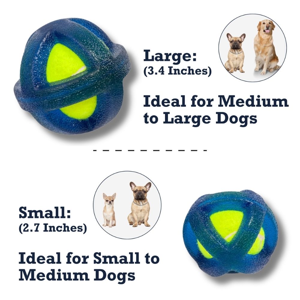 TPR-Coated Agility Tennis Ball Dog Toy, Small & Large Sizes