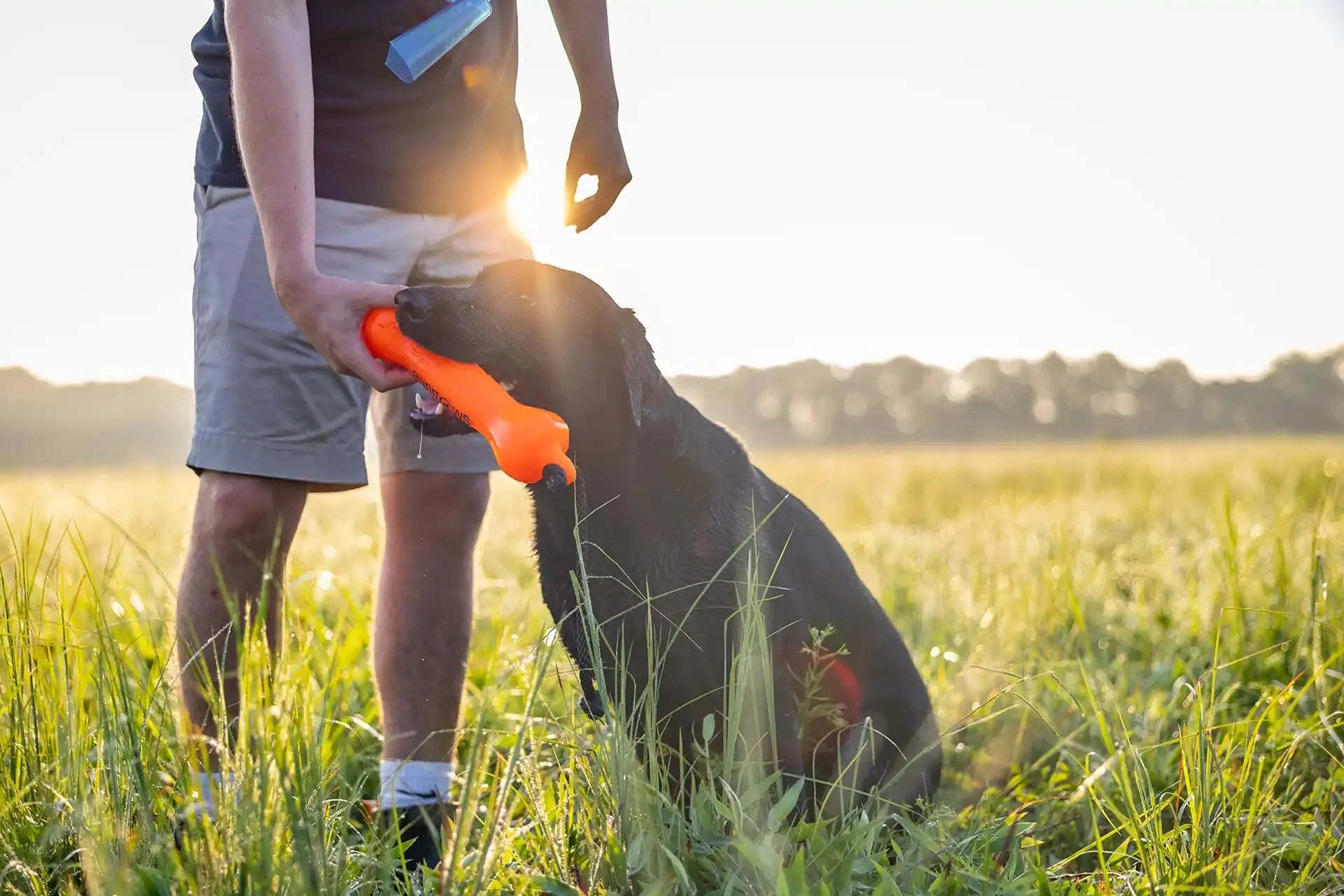 Barrows Training Bumper - Orange