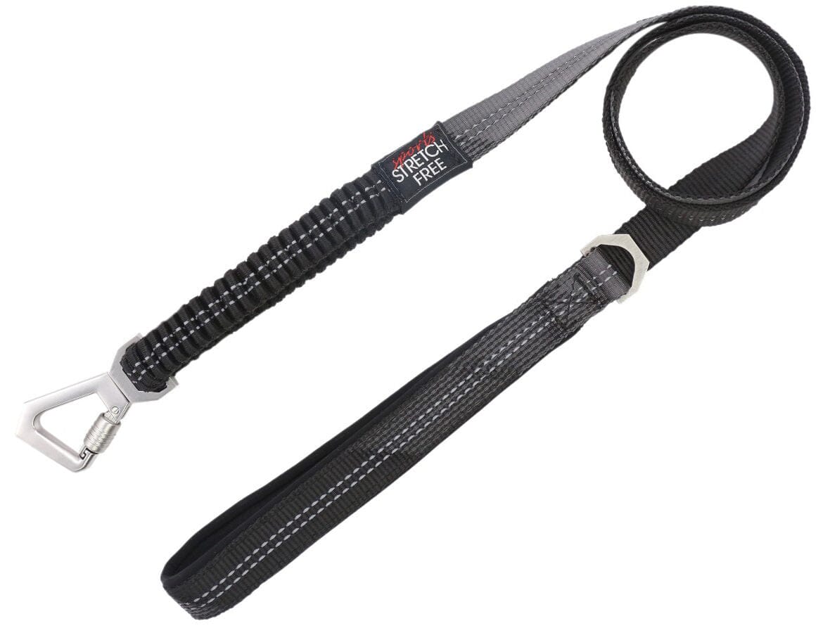 Pet Life ® 'Geo-prene' 2-in-1 Shock Absorbing Neoprene Padded Reflective Dog Leash and Collar