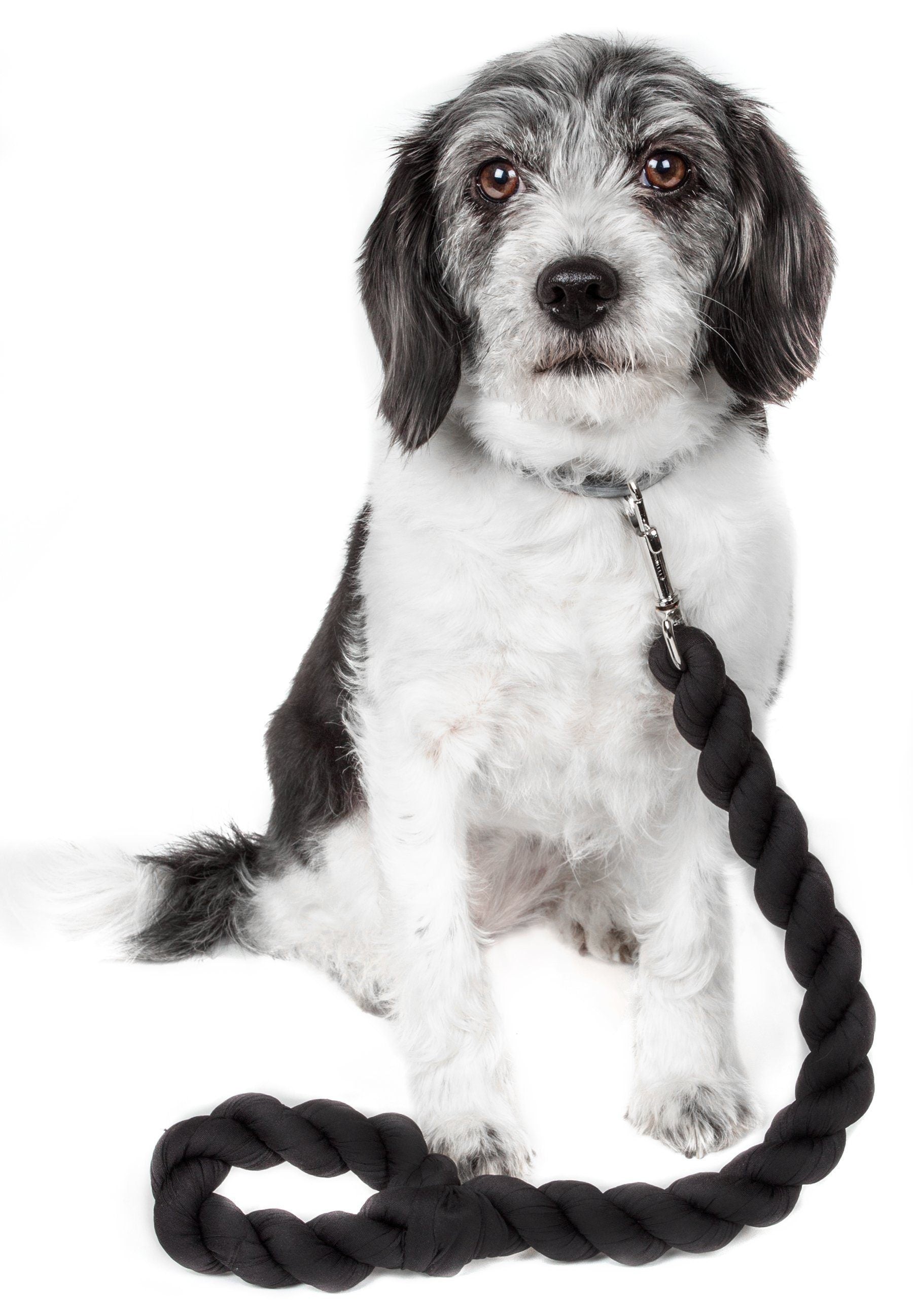 Pet Life ® 'Tough-Tugger' Industrial-Strength Shock Absorption Woven Pet Dog Leash