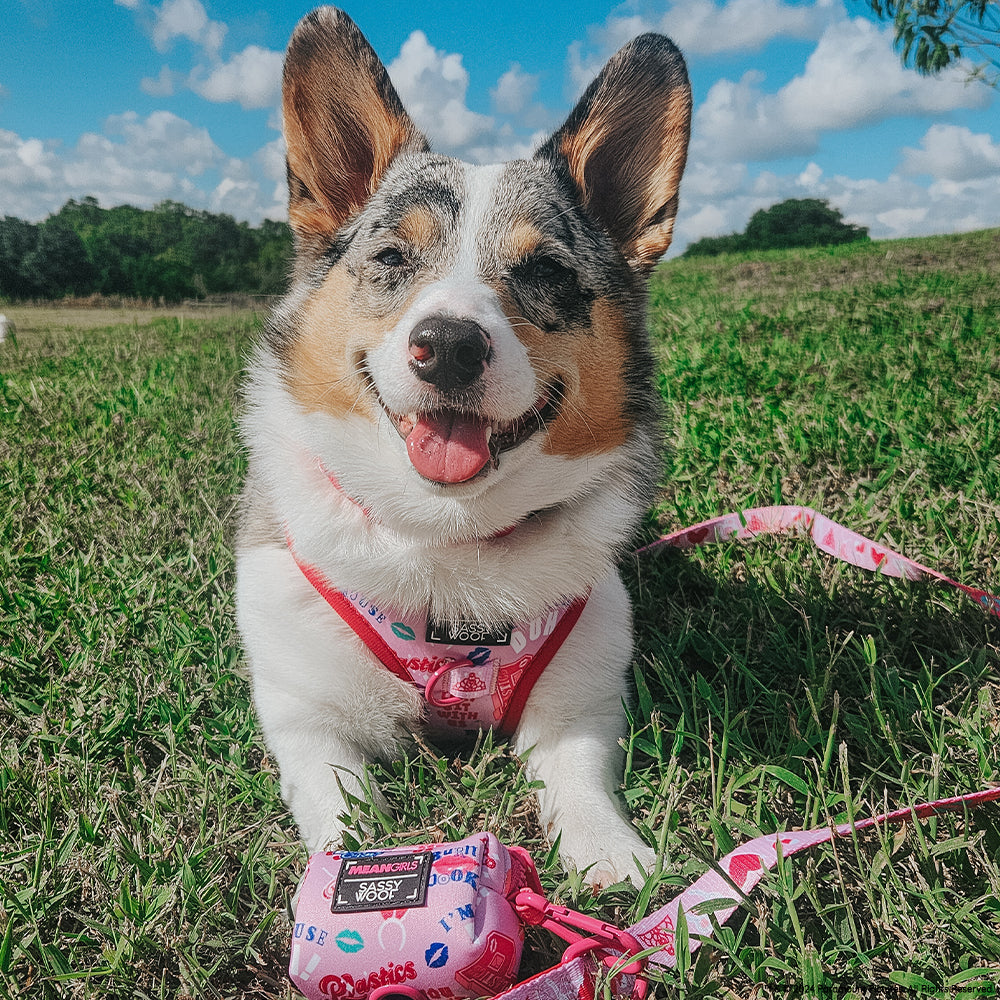 Dog Leash - Mean Girls™