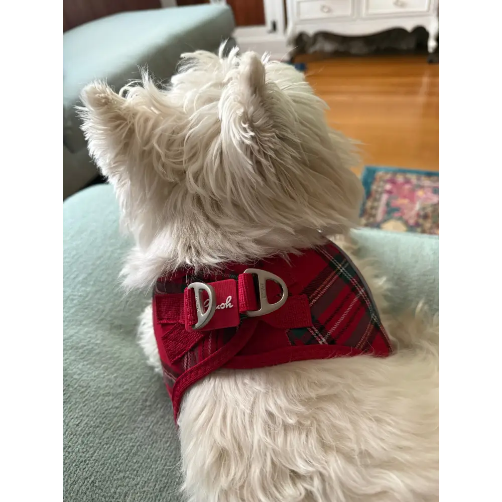 Plush Step In Harness Plaid Red