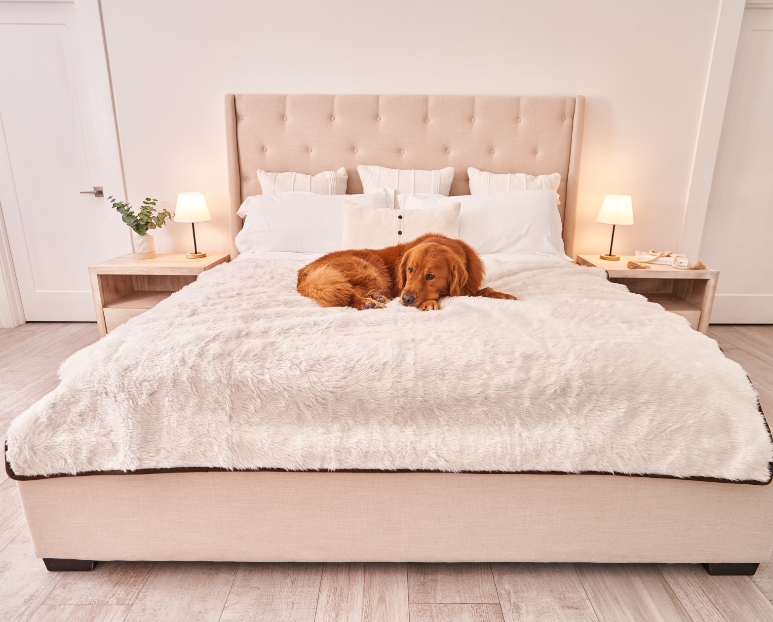 PupProtector Summer Short Fur Waterproof Throw Blanket - Polar White