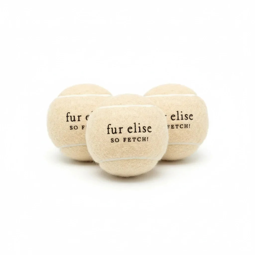 Fur Elise So Fetch! Tennis Ball Pack of 3 - Latte