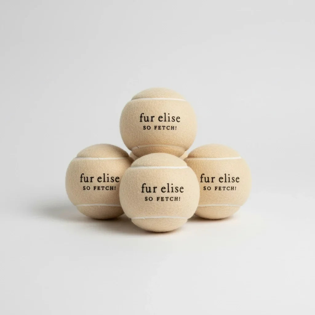 Fur Elise So Fetch! Tennis Ball Pack of 5 - Latte