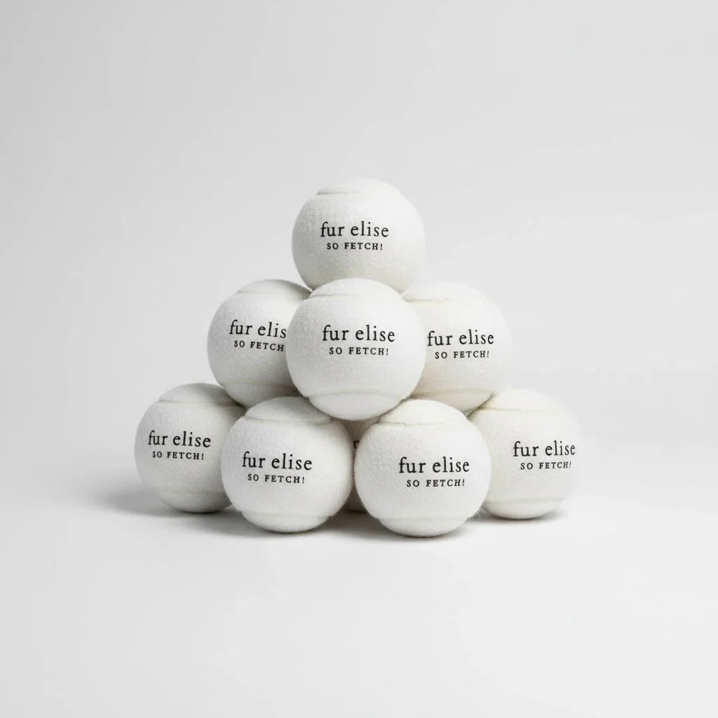 Fur Elise So Fetch! Tennis Ball Pack of 7 - Ivory