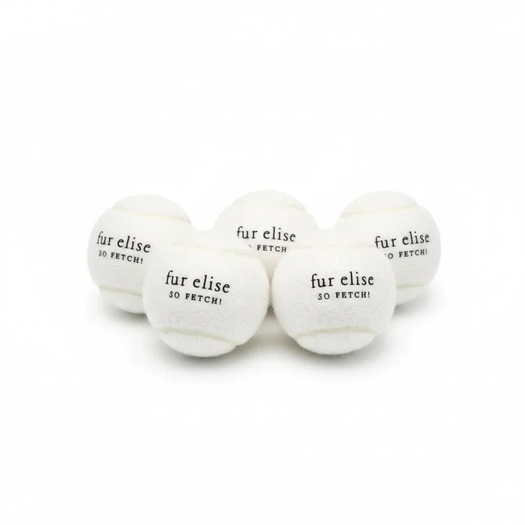 Fur Elise So Fetch! Tennis Ball Pack of 5 - Ivory