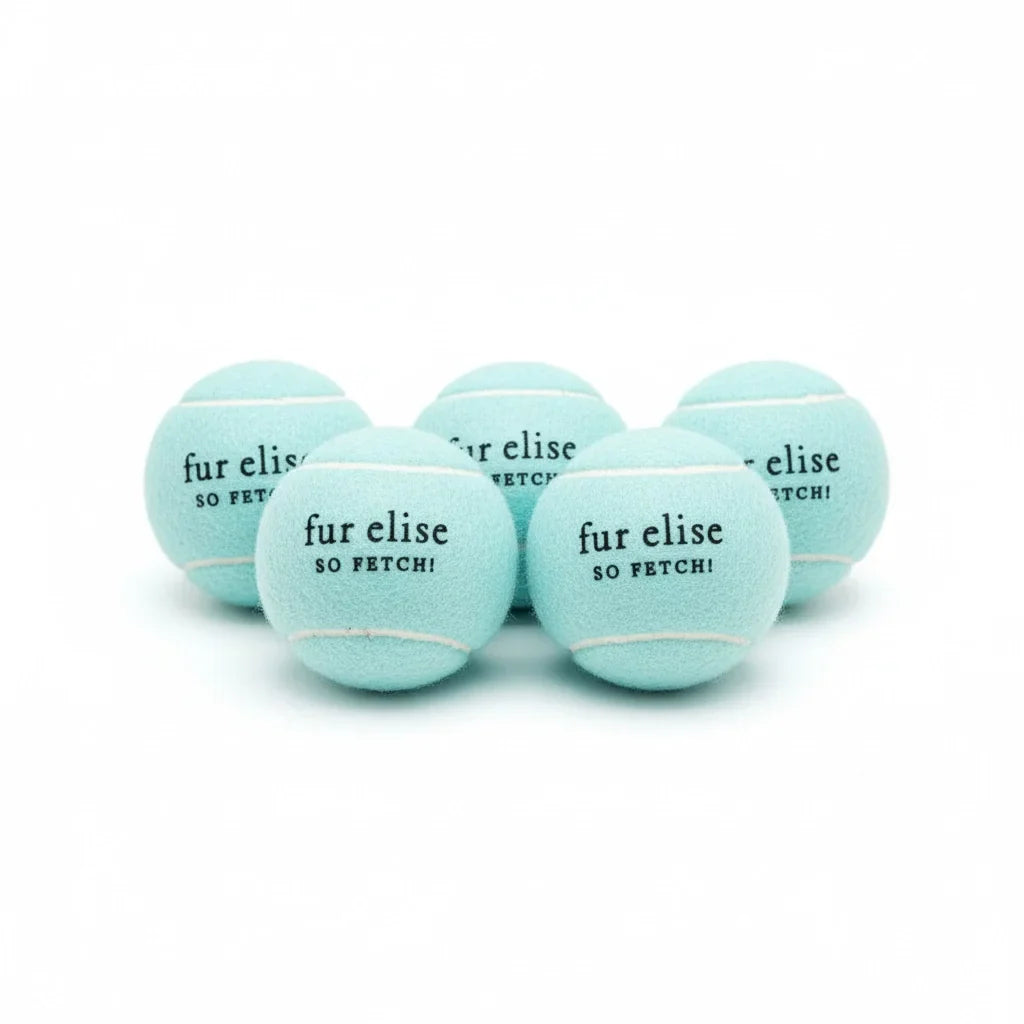 Fur Elise So Fetch! Tennis Ball Pack of 5 - Cloud